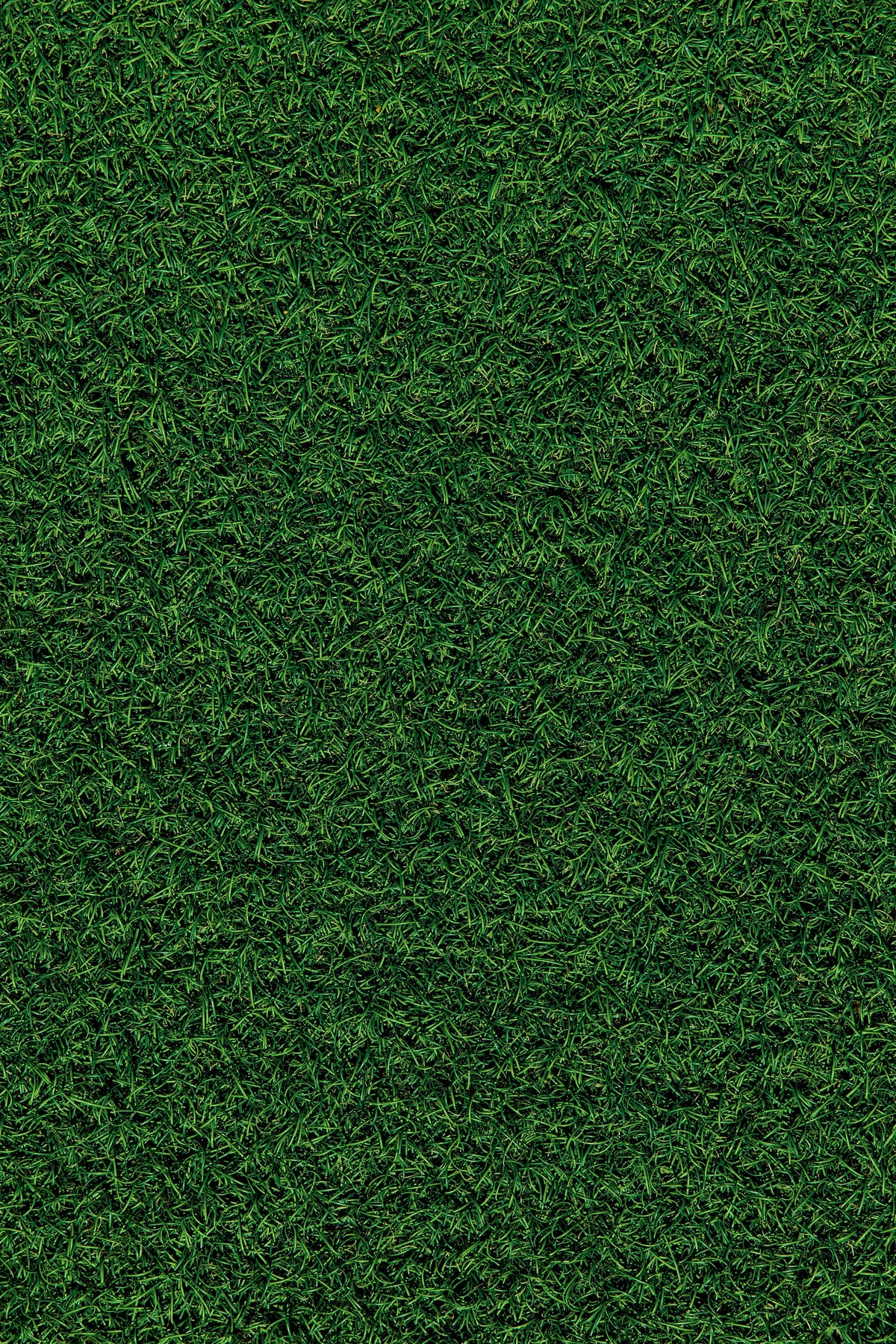 Rasenpflege im Frühjahr: So gelingt der perfekte Start in die Gartensaison - Organischer Dünger